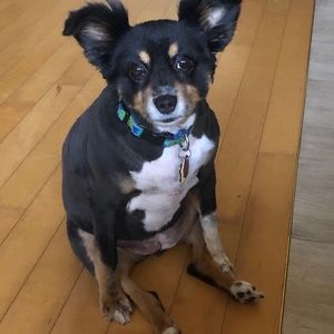 Meet your Posher, Madeline